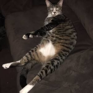 Meet your Posher, James